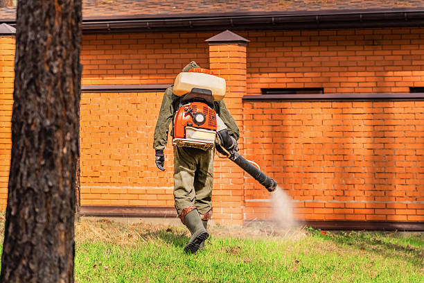 Trusted Cockroach Control service in Little Canada, MN - Nex Pest Control